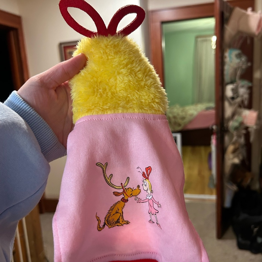 Grinch Cindy Lou hou Guinea pig outfit